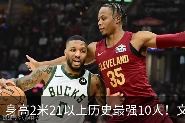 身高2米21以上历史最强10人！文班垫底，姚明第4，贾巴尔登顶