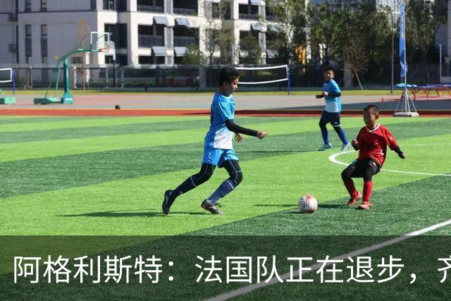 阿格利斯特：法国队正在退步，齐达内要珍惜明星球员的巅峰期